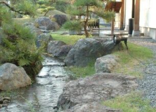 10:00(平日11:00)～20:00　休憩時間なく、お好きなお時間でご会食いただけます(完全予約制）